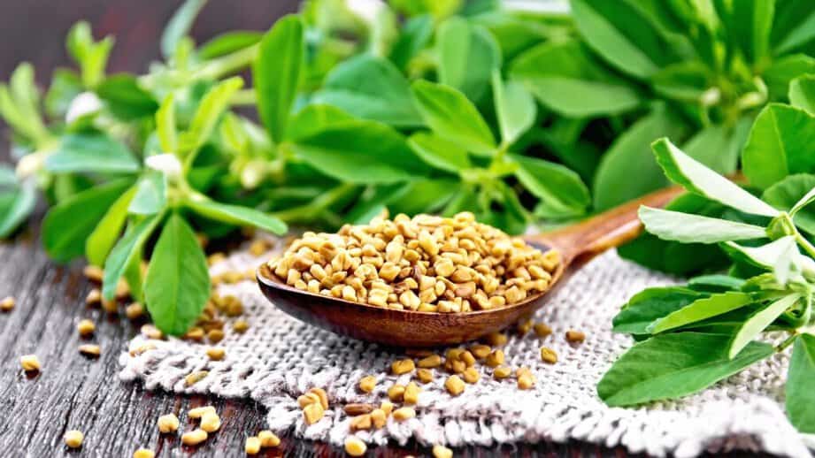 spoonful of fenugreek 