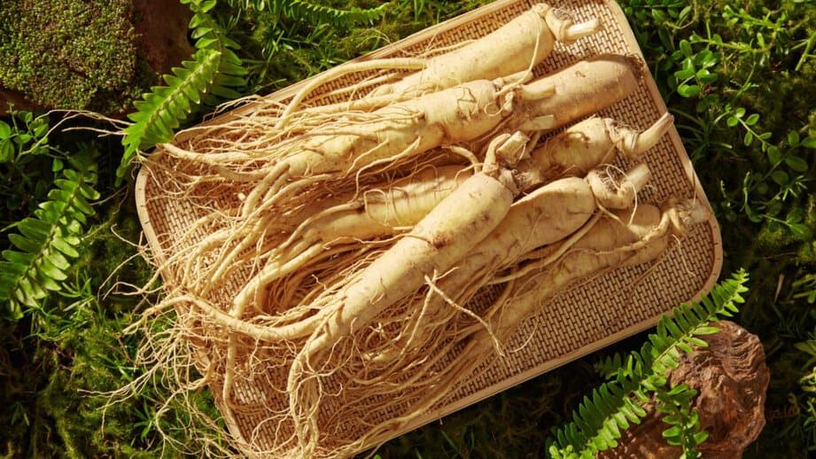 ginseng roots on a tray