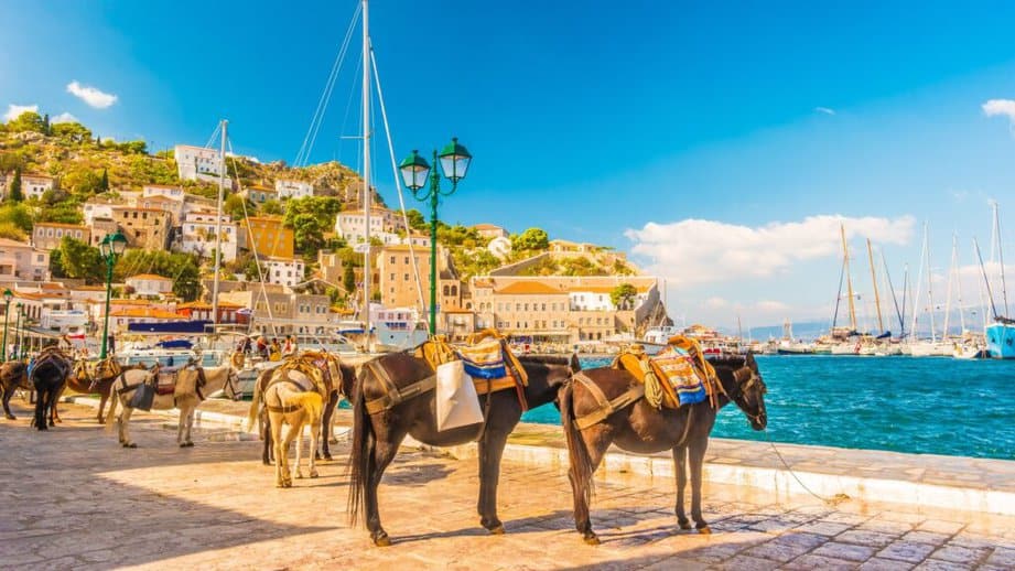 Hydra island donkeys