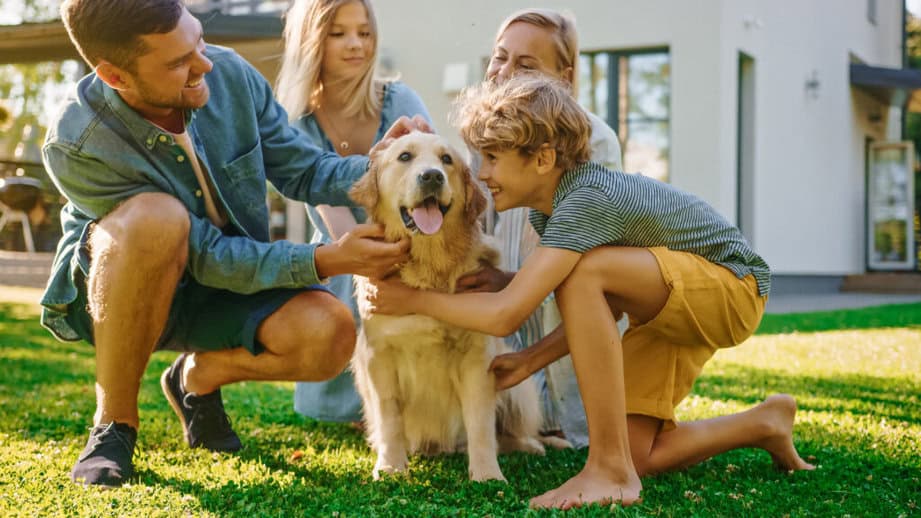 family with labrador dog