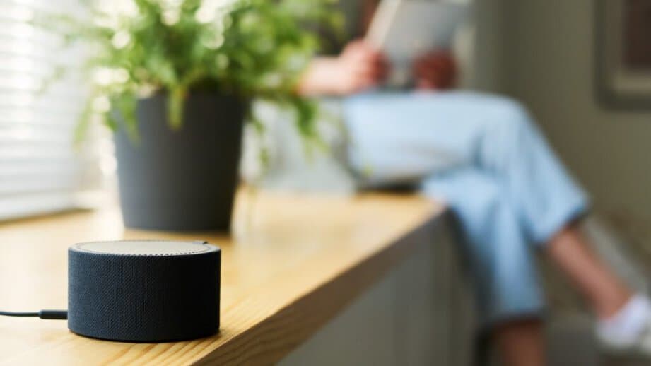 smart speaker in a home
